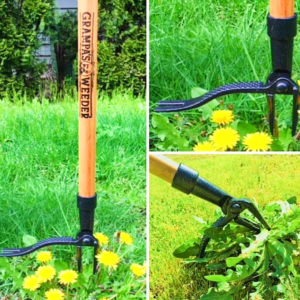 🇱🇷 Grampa's Weeder- The Original Stand Up Long Handle 4-Claw Steel Weed Puller