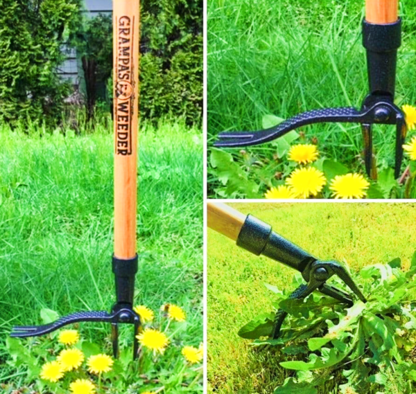 🇱🇷 Grampa's Weeder- The Original Stand Up Long Handle 4-Claw Steel Weed Puller