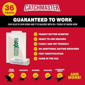 🇱🇷 Catchmaster 36-Count Pre-Baited Pest Glue Traps – Safe & Effective