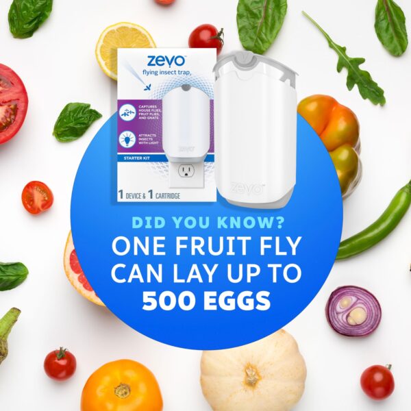 Zevo Dual-Pack Flying Insect Trap – Includes 2 Bases & Cartridges - Image 7